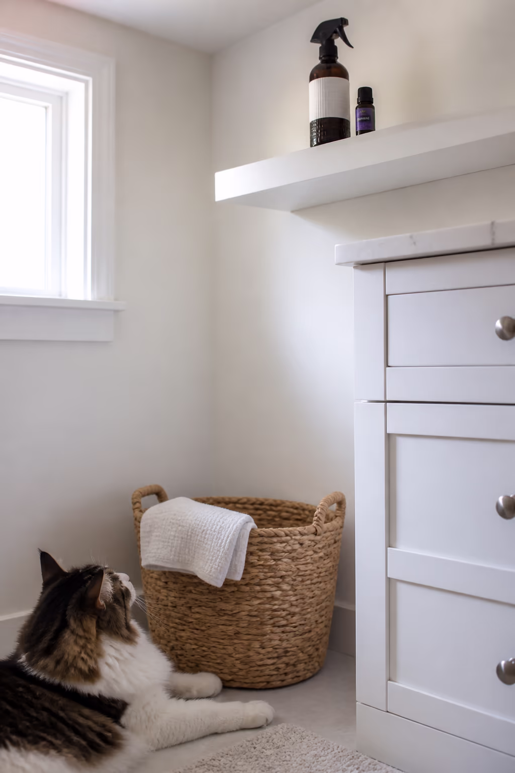 A small dark-glass bottle of lavender essential oil and a clearly labelled spray bottle on a high bathroom shelf, safely out of reach of a cat resting on the floor below.